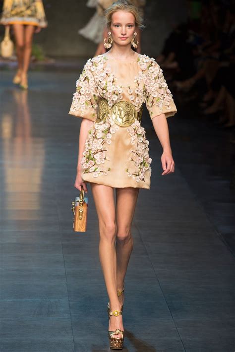 Dolce & Gabbana Spring 2014 Ready to Wear 